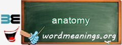 WordMeaning blackboard for anatomy